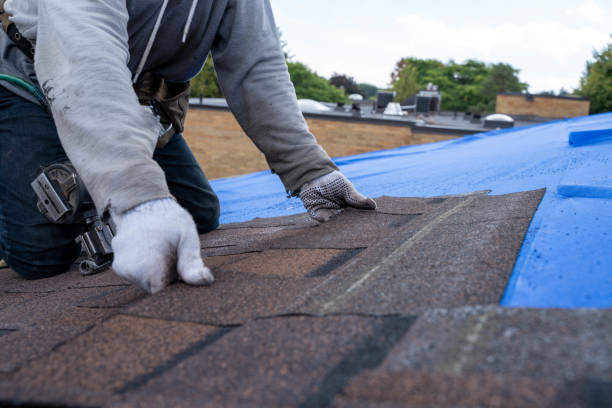 Best Commercial Roofing Services  in Campbellsburg, KY