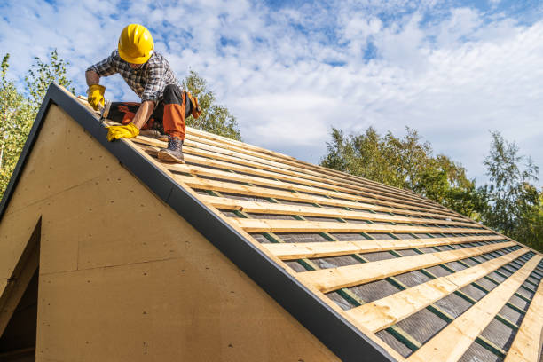 Best Roof Gutter Cleaning  in Campbellsburg, KY